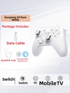 Wireless Game Controller for PC Switch NS Steam