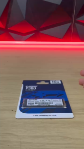 Ổ cứng SSD PATRIOT P300 512GB M.2 2280 NVMe Gen 3x4 P300P512GM28