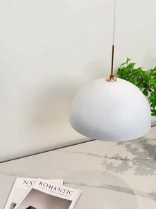 FANZHEN | Modern Zen LED Pendant Light