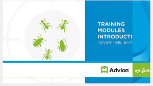 Advion Cockroach Gel Bait 30g 1 Plunger and 1Tip Syngenta Advion cockroach gel bait