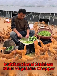Stainless Steel Vegetable Chopper Animal Feed Grinder Electric Portable Multi-Grinder for chicken COD