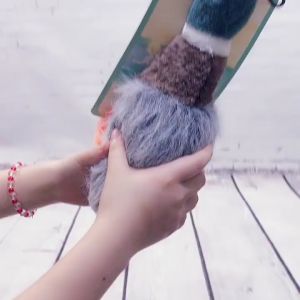 BEIWAN ของเล่น สุนัข บีบมีเสียง ตุ๊กตาสุนัข สำหรับ สุนัขสายพันธุ์เล็ก ของเล่น ดอกโต้ก ที่ดูดอกเล่น ผู้ชมดิน฿ 12 บาท