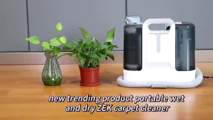 2025 Electrolux 6 IN 1 Sofa Carpet Vacuum Cleaner Fabric Sofa Cushion Carpet Matress Cleaning Machine Spot cleaner
