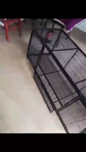 PAPAPET Chicken Cage Heavy Duty Chicken Coop Cage with Automatic Egg Collection Large Chicken House Portable  Easy to Clean