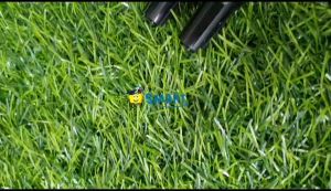 (1BIJI) JOYKO SPIDOL PERMANENT BLACK