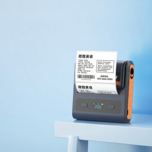 DTPrinter | High-Resolution 300dpi Large Food Label Printer with Bluetooth Barcode Stickers