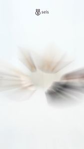 SEIS Claris Sandal Heels Wanita Hak 5 cm