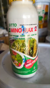 KÍCH THÍCH TĂNG TRƯỞNG AMINOMAX 2 - nặng hạt lớn trái