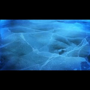 máy làm đá vảy 200kg/24h công suất 1300w phục vụ Các nhà hàng phục vụ đồ hải sản nhà hàng buffet hải sản