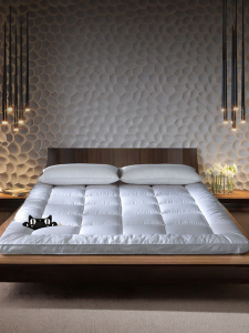 KANGERXIN | Foldable Home Dorm Protection Mattress Pad