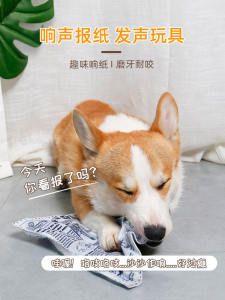 Dog Toys Self Entertaining Noise Making Chew Resistant Teeth Grinding Pet Supplies for Corgi Bichon Puppies Fun Relief