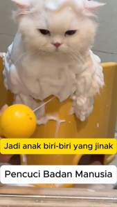PetClear Pet Shampoo Wangian Tahan Lama Syampu Penyahbau Pembersih Anti-kusut Gel Mandian Universal untuk Anjing dan