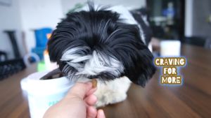 MDCP-Nutrifur Calming Chews 300g - Soothe Your Dogs Anxious Mind for Peaceful Days