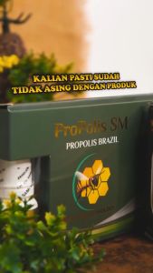 Obat Tetes Kuping Bernanah Berair Curek Telinga Anak dan Dewasa Obat Telinga Bernanah Bau Infeksi Telinga Congek Telinga Berdengung - Propolis SM - Brazil Propolis Asli 100% Original