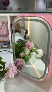 Good Design Mini Makeup Fridge with Makeup Mirror 8L Cosmetic Refrigerator with Light and Digital Show