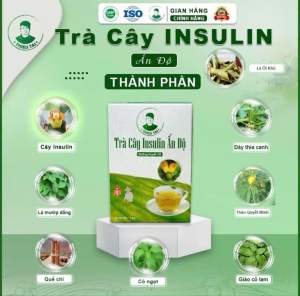2 Hộp Trà cây insulin Ấn Độ (Trà tốt cho người tiểu đường)