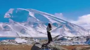 Bnuitland Travel Blanket and Pillow 2 in 1 Soft Flannel Airplane Blanket in Bag Compact-Long Flight Essential for Adults and Kids Portable Luggage Sleeve and Backpack Clip 65×40 inch Pink