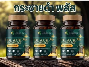 Black Galingale plus zinc + l-arginine กระชายดำ ผสม zinc และ l-arginine