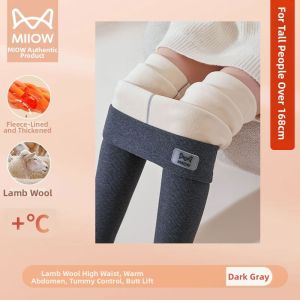 MiiOW | Thickened & Warm Womens Gray Tights