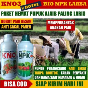 [PUPUK TERBAIK] 1 KNO3 PREMIUM & 1 NPK LAKSA Grow Pupuk Pelebat dan Perekat Anakan Padi Lebih Banyak Obat Daun Kuning Pada Padi Obat Bulir Padi Kosong Obat Merah Padi Obat Anakan Padi Kuning Kerdil Obat Padi Kresek dan Hawar – Pupuk Padi Cepat Panen