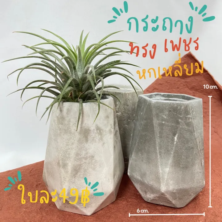 กระถางปูนเปลือยทรงเพชร เคลือบกันเชื้อรา