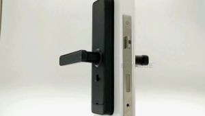 NEW RAYKUBE A270 Tuya Wifi Two-way Audio Video Intercom Fingerprint Camera Smart Door lock With APP Remote Unlock Video Record