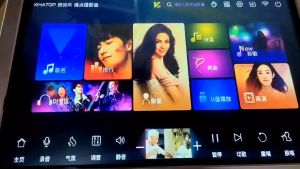 HAJURIZ Karaoke Machine19.5 5 in 1 mixing amplifier500GB HDD 10K ChineseEnglish SongsMulti-Language songs on cloud for download.Android Dual systemSmart AI