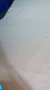 2 Tone Car Cover for TOYA WIGO 2024 Hydrophobic Water Repellent High Quality With Reflectorized & Storage Bag