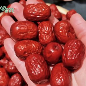 red dates 红枣 (tea/seedless/organic) dates kurma 新疆紅棗 红枣零食 Jujube Snack  buah Kurma Merah 紅棗茶