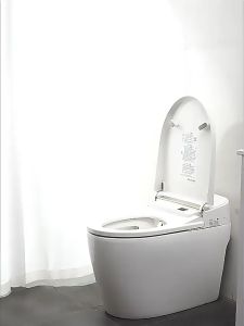 2-in-1 Foldable Baby Toilet Training Kids Portable Travel Seat Toilet for Children