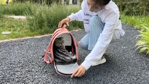 Pet Carrier 🐱 กระเป๋าเเมว, เป้แมว กระเป๋าเป้สัตว์เลี้ยง Pet bag สำหรับกระเป๋าเป้สัตว์เลี้ยง พับเก็บได้, ระบายอากาศได้