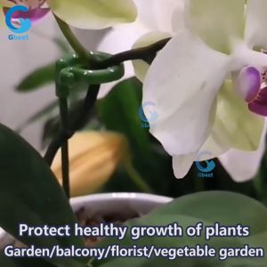 Gbest Phalaenopsis fleshy holder plant pole supporter flower stand bracket Garden Bonsai shaped Support stick rod Stake Stander climbing frame Single Stem Shrub Holder Butterflies Orchid Succulent gardening tools 蝴蝶兰花支架