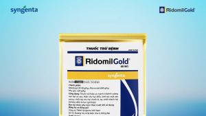 Thuốc trừ nấm bệnh Ridomil Gold 68WG (100g/gói)
