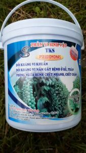 TKS-PSEUDOMONASL  Vi Khuẩn Đối Kháng Trừ Bệnh Héo Xanh Thối Cổ Rễ Vàng Lá  - Xô 2kg