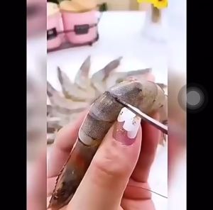 Dụng cụ lột bóc vỏ tôm lấy chỉ tôm làm lòng gà đánh vảy cá đa năng HT827