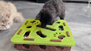 Cat Puzzle Toy Felt Cat Toy Maze Box Interactive Puzzle Game Scratching Toy Ring Ball Mainan Kucing