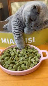 Pet World Freeze Dried Catnip / Freeze Dried Chicken + Catnip / Cat Snack