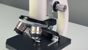 กล้องจุลทรรศน์ กำลังขยาย 40x - 1600x (XSP-02) ส่องสเปิร์ม และน้ำเชื้อได้ Micorscope (ขอใบกำกับภาษีได้) กล้องจุลทรรศน์ส่องสเปิร์ม กล้องจุลทรรศน์สเปิร์ม - Lazada