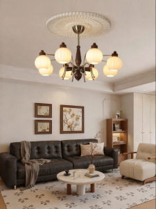 DGY | Retro French Style Protective Eye Living Room Light