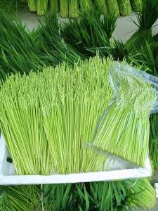 Đòng Đồng nếp 1 kg ( loại đặc biệt) rất thơm ngon