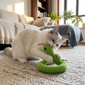 Teekland Dog Sounding Paper Toy Snake Shaped Squeaky Toy Bite Resistant Interactive Toy for Cats & Dogs Plush Toy