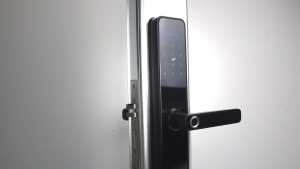 TTlock App WiFi Smart Fingerprint Door Lock Smart Bluetooth Digital APP Keypad Code Keyless Electronic Door Lock