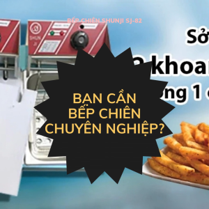Bếp Điện Chiên Nhúng Shunji đôi 12L