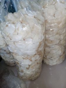 (COD TERLARIS 1KG) KRIPIK OPAK SINGKONG MENTAH