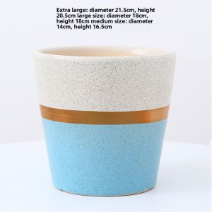 Modern Simple Ceramic Plant Pots for Living Room Desktop Tiger Tail Lily Orchid Flower Pots Home Decor Garden Supplies