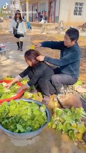 { NY ACC } Catok Sisir Pelurus Rambut Premium 2 IN 1 / Catokan Sisir Rambut 2in1 FH909