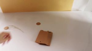 Túi Giấy Kraft Retro Có Dây Gai Dầu 10/20 Bộ Dành Cho Đám Cưới Tiệc Sinh Nhật Ủng Hộ Khách Quà Tặng Kẹo Bao Bì Những Dịp Giáng Sinh