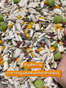 อาหารหนูแฮมเตอร์🐹ธัญพืชรวมเกรดพรีเมี่ยม 100-1000 กรัม