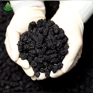[HÀNG CAO CẤP] Dâu Tằm Sấy Khô 100gr Nguyên Quả To Đều Dẻo Ngọt Giữ Dáng Đẹp Da