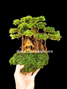 Bonsai rumah pohon Aquascape